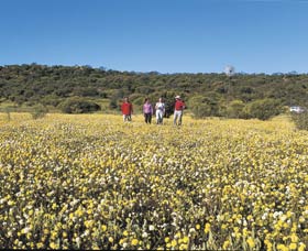 Koolanooka Springs - Tourism Cairns 2