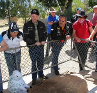 Fossil Rock - Tourism Cairns