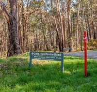 Lobs Hole Ravine 4WD Trail - Tourism Cairns