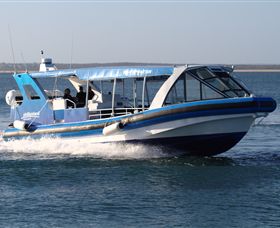 Phillip Island Nature Parks - Tourism Cairns 2