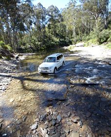 Aberfeldy Four Wheel Drive Track - Tourism Cairns 1