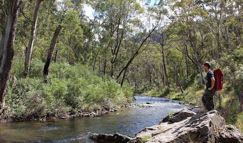 Yarrangobilly Caves - Tourism Cairns 1