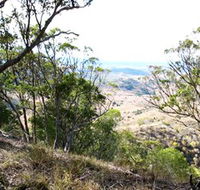 Boat Mountain Conservation Park - Tourism Cairns