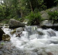 Washpool National Park - Tourism Cairns
