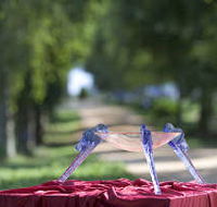 Lillico Glass Studio - Tourism Cairns