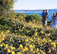 Joseph Banks Conservation Park - Tourism Cairns
