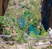 Carlotta Arch walking track - Tourism Cairns
