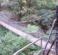 Jenolan River walking track - Tourism Cairns