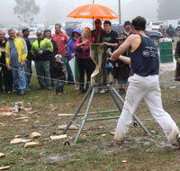 Lockyers Road Walking Track - Tourism Cairns