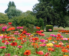Alma Park - Tourism Cairns 0