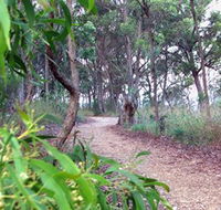 Mount Mutton Walking Trail - Tourism Cairns