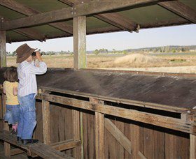 Dangars Lagoon And Racecourse Lagoon - Tourism Cairns 0