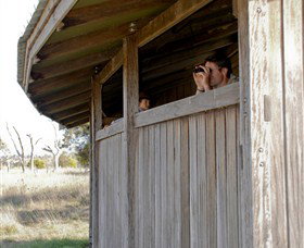 Dangars Lagoon And Racecourse Lagoon - Tourism Cairns 3