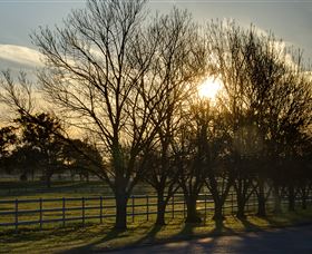 Inland Waters Holiday Parks Lake Glenbawn - Tourism Cairns 4