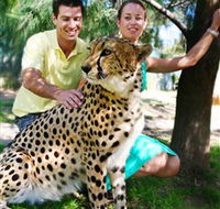 National Zoo  Aquarium - Tourism Cairns