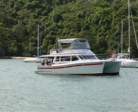 Waratah Adventure Tours - Tourism Cairns 1