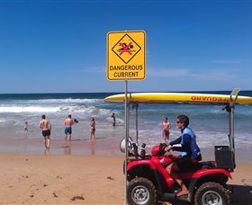 Waratah Adventure Tours - Tourism Cairns 2