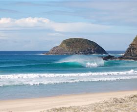 Surfaris Surf Camp - Tourism Cairns 4