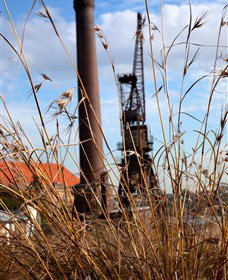 Click Walk Learn Photography Tours - Tourism Cairns 2