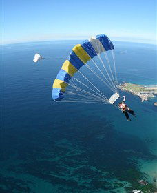 Skydive The Beach And Beyond Sydney - Wollongong - Tourism Cairns 6
