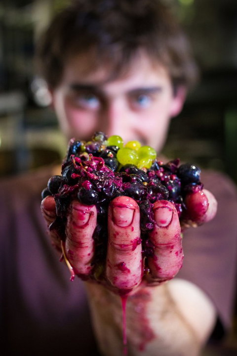 Clonakilla Wines - Tourism Cairns 6