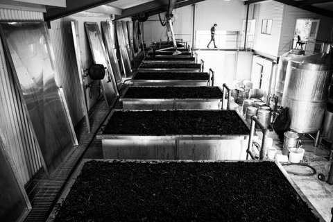 Clonakilla Wines - Tourism Cairns 9