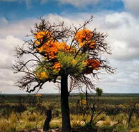 The Delmar Gallery - Tourism Cairns