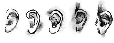 DAB LAB Research Gallery - Tourism Cairns 0