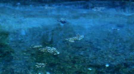 Anna Schwartz Gallery Sydney - Tourism Cairns 2