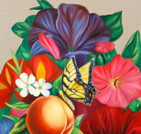 Iain Dawson Gallery - Tourism Cairns