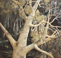 Ku-Ring-Gai Art Centre  Gallery - Tourism Cairns