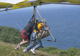 Book Newcastle NSW Attractions Tourism Cairns Tourism Cairns
