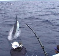 Amokura Charters - Tourism Cairns