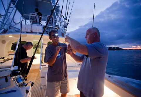 Amokura Charters - Tourism Cairns 1