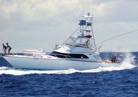 Amokura Charters - Tourism Cairns 2