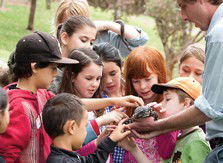 Blackbutt Reserve - Tourism Cairns 2