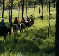 Hunter Valley Horse Riding and Adventures - Tourism Cairns