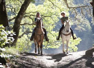 Hunter Valley Horse Riding And Adventures - Tourism Cairns 1