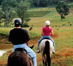 Hunter Valley Horse Riding And Adventures - Tourism Cairns 3