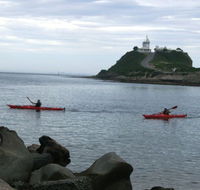 Newcastle Kayak Tours - Tourism Cairns