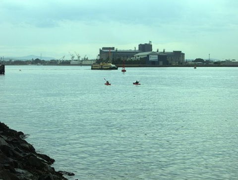 Newcastle Kayak Tours - Tourism Cairns 5