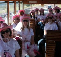 Newcastles Famous Tram - Tourism Cairns