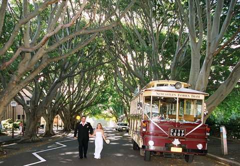 Newcastles Famous Tram - Tourism Cairns 2