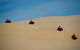 Aboriginal Tours And Sand Dune Adventures - thumb 2