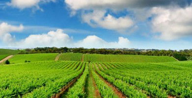 Sydney Weekend Adventures - Tourism Cairns 2