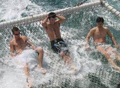 Tex Tours - Tourism Cairns 2