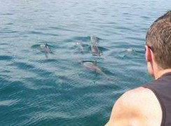 Tex Tours - Tourism Cairns 3