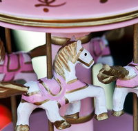 Newcastle City Farmers Markets - Tourism Cairns