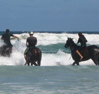 Pegasus Park Equestrian Centre - Tourism Cairns