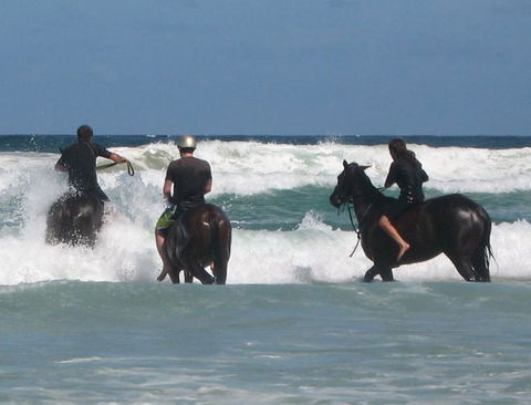 Pegasus Park Equestrian Centre - Tourism Cairns 0